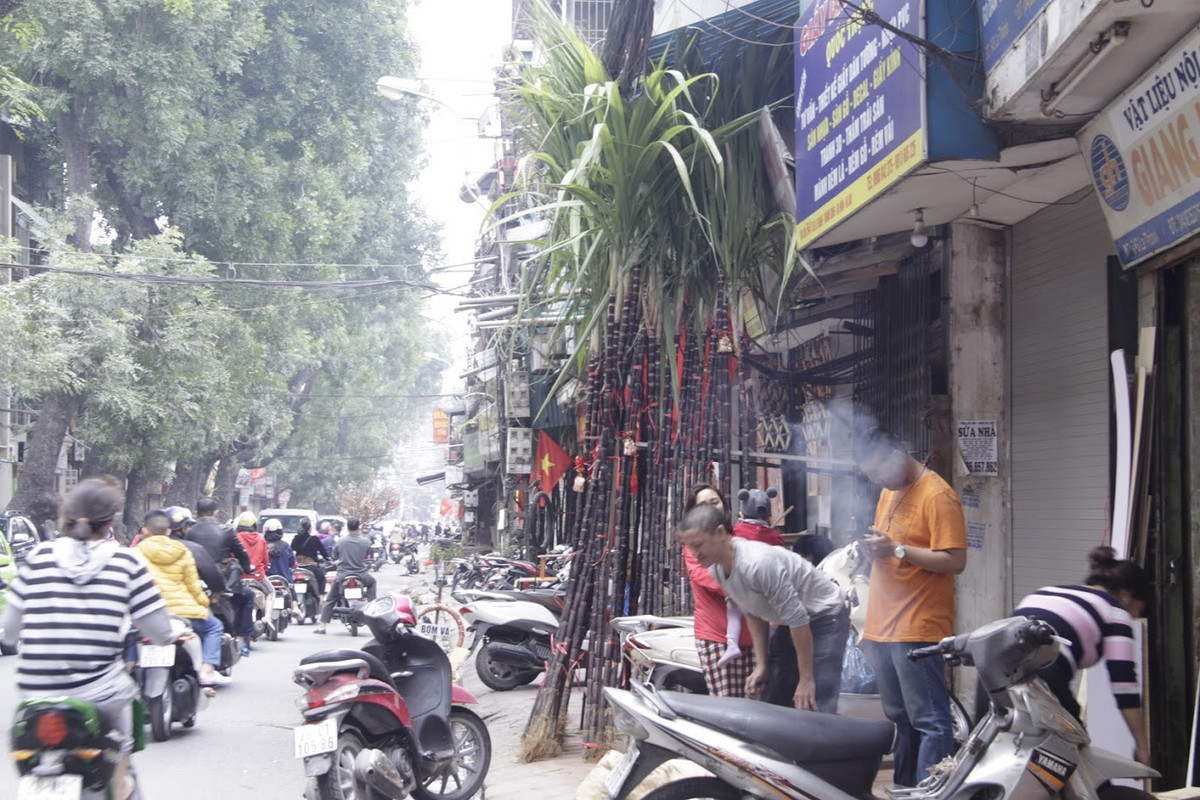 Giá mía lộc năm nay cũng khá đắt đỏ khi giao động từ 70.000 đến 100.000/ cặp. Với những loại mía đẹp có tán lá xanh mướt và thân mập sẽ đắt hơn.