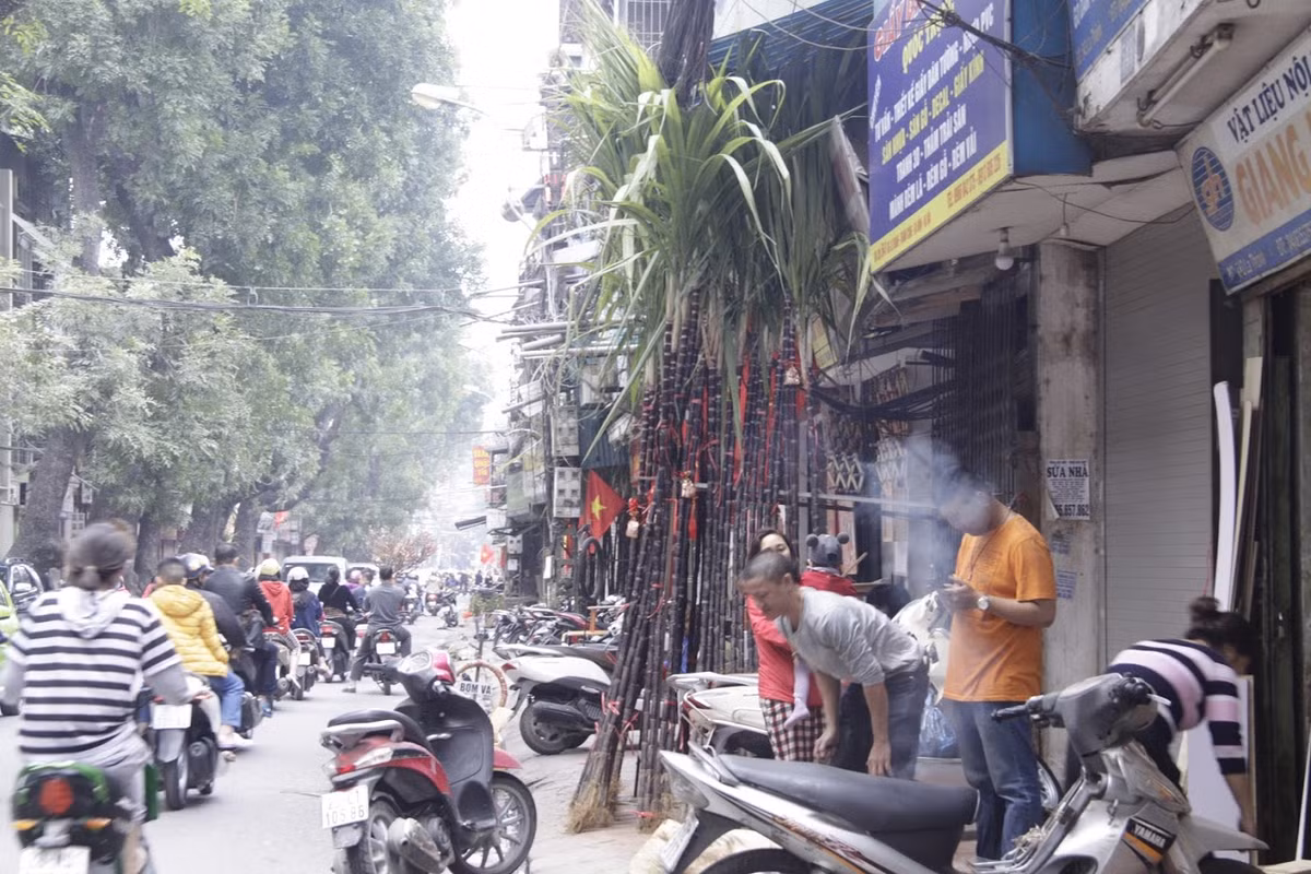 Giá mía lộc năm nay cũng khá đắt đỏ khi giao động từ 70.000 đến 100.000/ cặp. Với những loại mía đẹp có tán lá xanh mướt và thân mập sẽ đắt hơn.