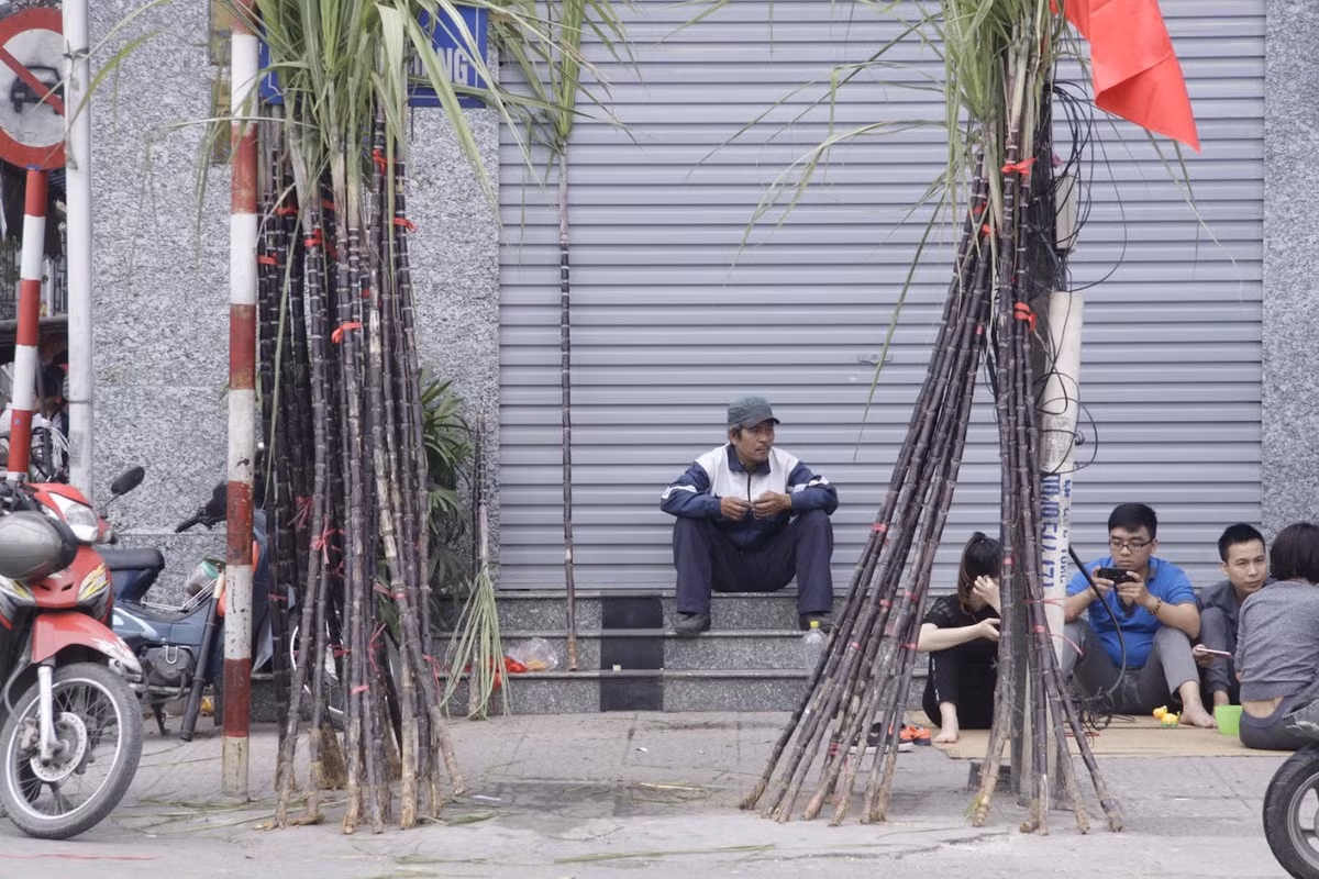 Nhiều hộ dân đã tranh thủ dịp này để kiếm thêm thu nhập mấy ngày Tết.