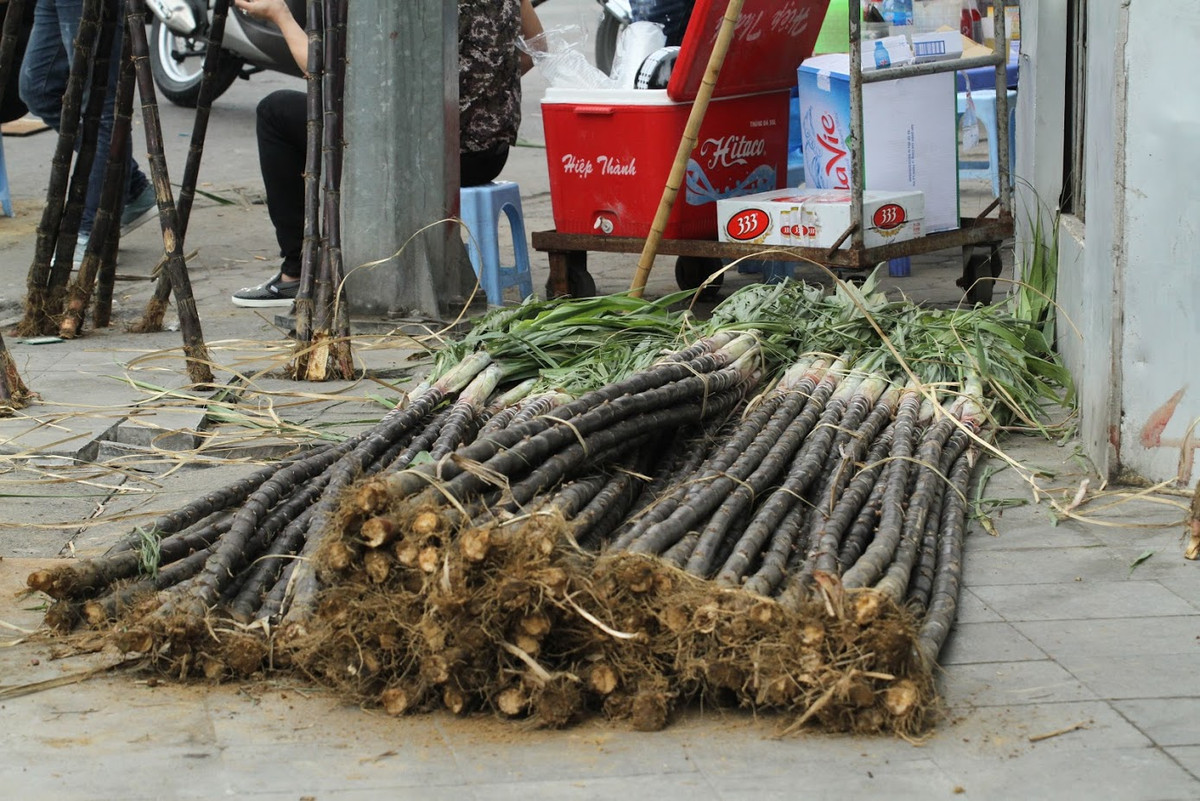 Theo quan niệm của người xưa, cây mía là biểu tượng của sự giao hòa, hết nối giữa hai thế giới âm - dương, sẽ giúp ông bà tổ tiên có thể chung vui mừng năm mới cùng con cháu.