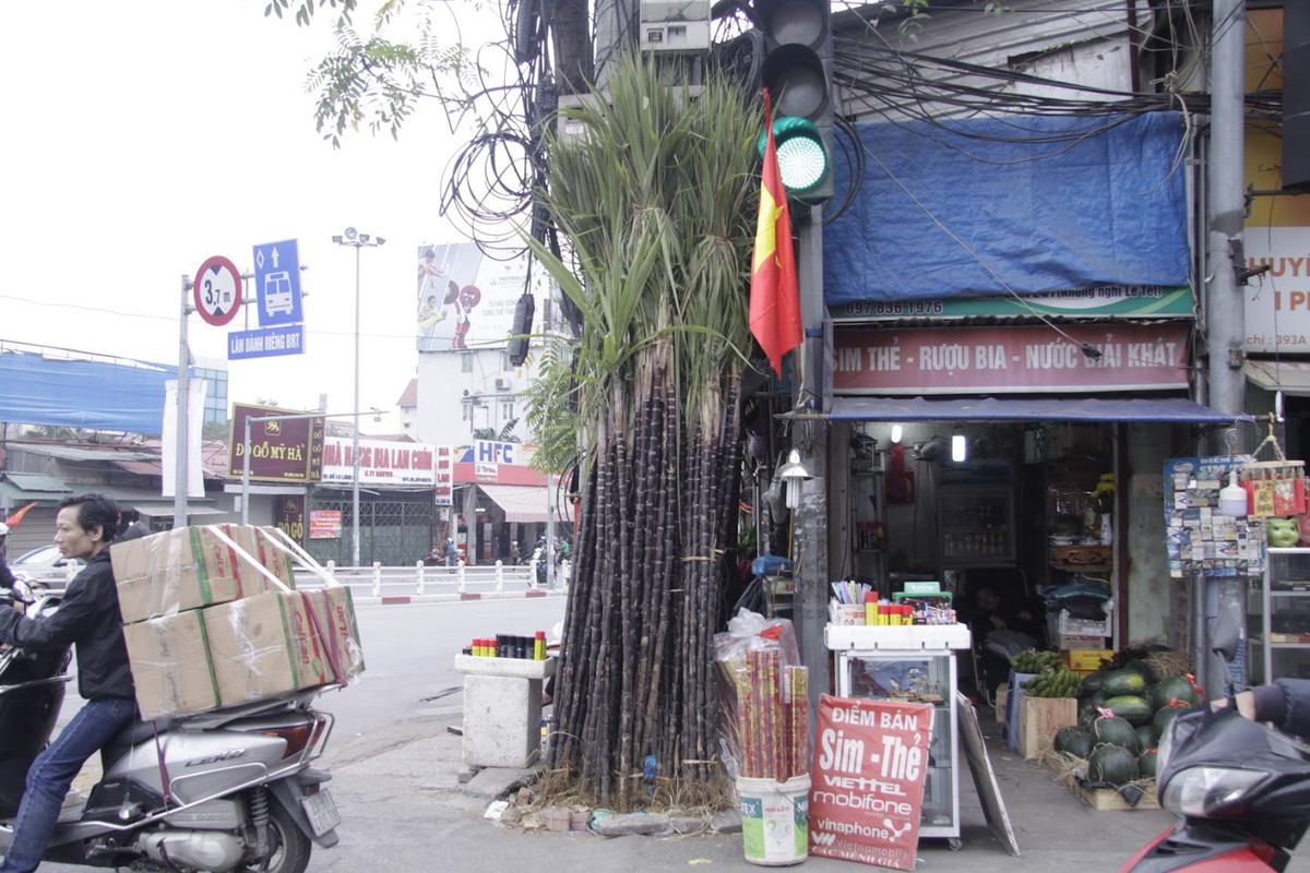 Ở những góc phố như Đê La Thành, Tôn Đức Thắng, Nguyễn Thái Học hay Ô Chợ Dừa, không thiếu những cây mía lộc được các tiểu thương bày bán.