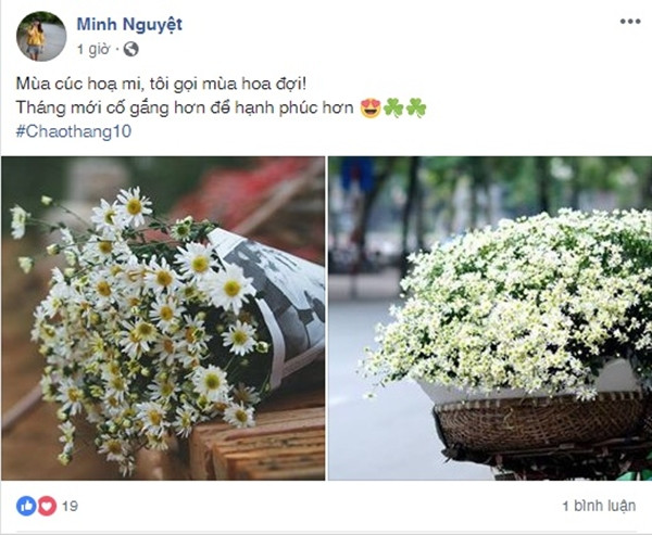 Cái lạnh chỉ thấm thoắt kéo đến chưa lâu, nhiều người đã rạo rực lên kế hoạch cho những buổi chụp hình, thả dáng cùng cúc họa mi hay đơn giản là những khoảnh khắc bình dị, ngắm nhìn cúc họa mi tỏa hương nơi quán quen, người lạ.