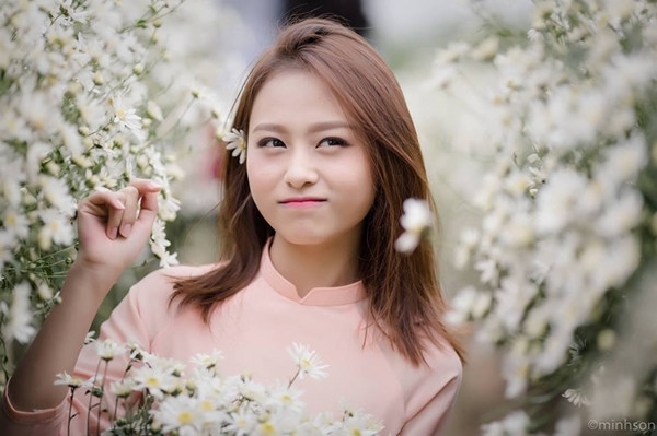 Dù chỉ mới bắt đầu tháng 10, cúc họa mi chỉ mới chớm nở nhưng cộng đồng mạng đã rần rần chia sẻ và đăng tải hình ảnh về loài hoa tinh khôi này.