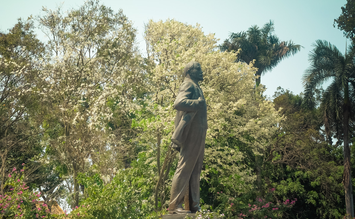 Những cây hoa sưa đã làm nền để bức tượng của lãnh tụ vĩ đại của Đảng Cộng sản oai nghi giữa trời Hà Nội.