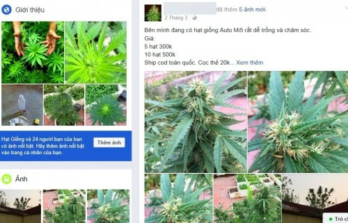 Giao hàng toàn quốc, trao tận tay khách hàng và đảm bảo "phê pha" là những từ ngữ mà chủ shop online bán chất kích thích hứa hẹn với khách hàng.