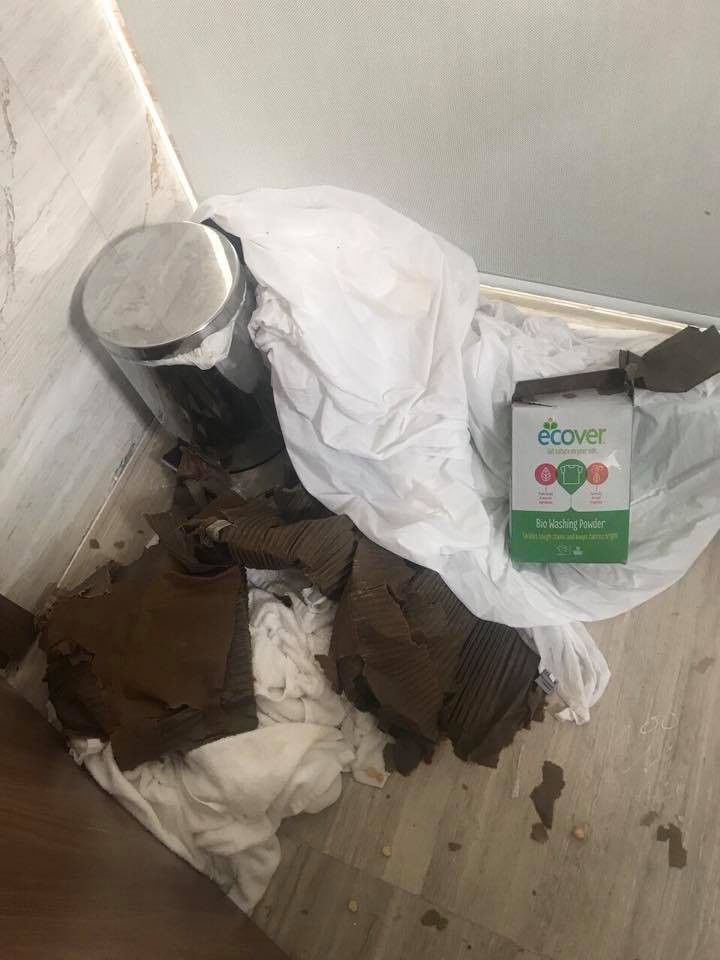 Điều đáng chú ý, trong ảnh, rác được vứt đầy phòng trong khi đã có thùng rác, đồ ăn thừa vương vãi cả trên bàn lẫn dưới sàn nhìn chẳng khác nào bãi rác.