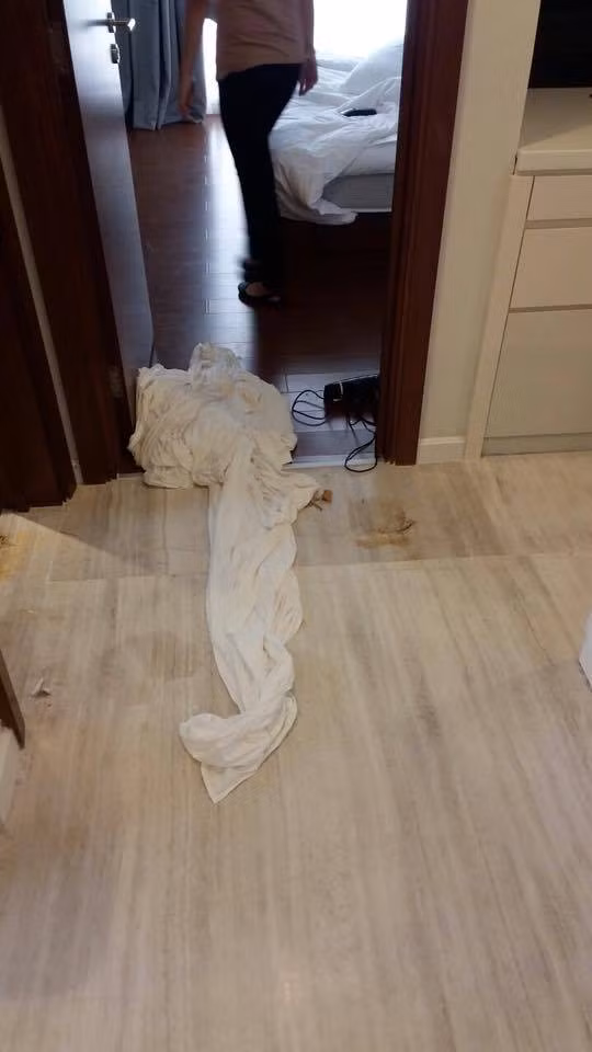 Sau khi đăng lên Facebook, bài viết đã thu hút rất nhiều sự quan tâm từ cộng đồng mạng nhất là những người làm nghề liên quan đến khách sạn. Đa phần mọi người đều cho rằng những vị khách ở đây quá bừa bãi, thiếu ý thức.