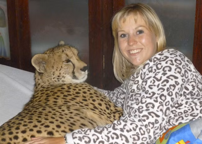 Heather Tookey, 21 tuổi, có tình cảm đặc biệt với một con báo gấm có tên là Dew ở khu bảo tồn Cheetah Experience. Heather và cô báo Dew từ đó đã trở thành bạn thân của nhau.