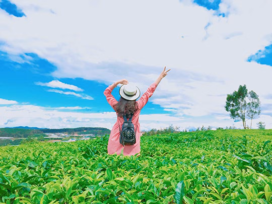 Vậy nên nếu có dịp đến với cánh đồng chè tại phố Núi Gia Lai bạn nên tranh thủ ghi lại những khoảnh khắc "diễn sâu" của mình để cùng khoe với bạn bè trên mạng xã hội. Ảnh sử dụng trong bài: Ivivu.