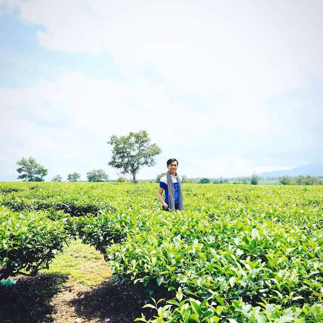 Đến với địa điểm được gọi là Biển Hồ chè, bạn sẽ bị "thu hút" bởi màu xanh tươi của một vườn chè bát ngát trong nắng sớm.