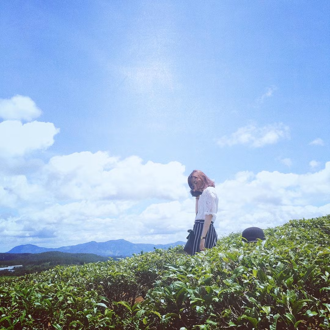Trên trời có màu xanh nước biển dưới của mây trời, dưới đất có màu xanh lá cây của lá chè đã tạo nên một quang cảnh cực kì cuốn hút, khiến dân mạng không thể quên cầm máy ảnh lên mà check-in cho bằng được một tấm ảnh sống ảo "so deep" đúng chất.