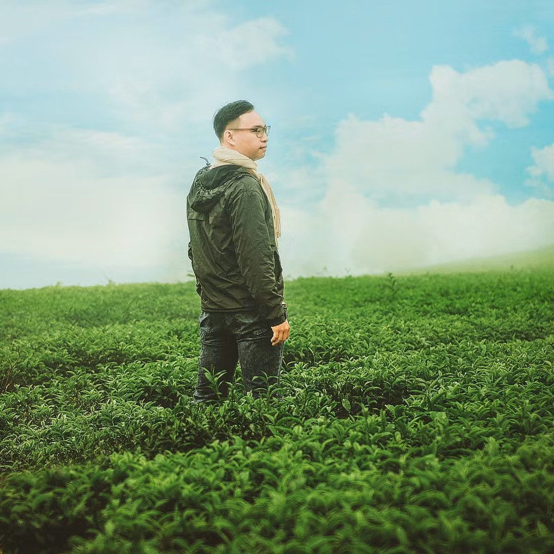 Ngắm nhìn một thảm xanh mướt của cánh đồng chè Gia Lai, bạn sẽ cảm thấy mát mắt, mát lòng và bỗng dưng những muộn phiền ngày qua được xua tan hết, chỉ còn những cảm xúc dịu êm và thư giãn.