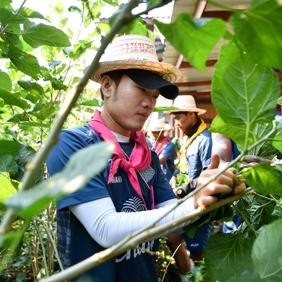 Trong nhiều ngày qua, dễ thấy tiền vệ đội tuyển Việt Nam là cầu thủ được quan tâm nhiều nhất trên kênh chính thức của Buriram United.