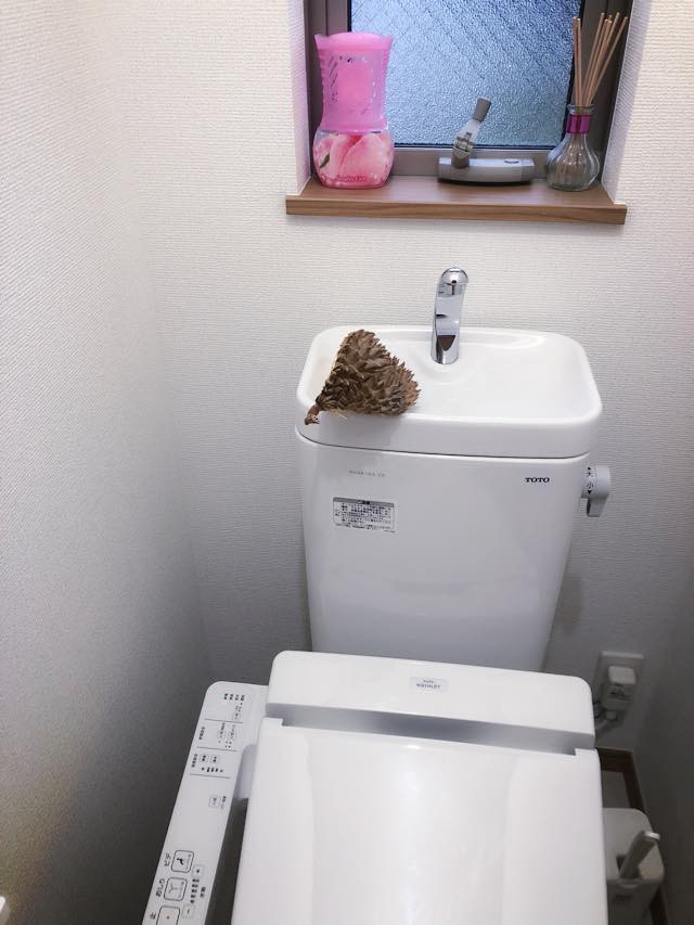 Cụ thể, nickname H.T biết chồng sợ nhất mùi sầu riêng, cô nàng đã ngấm ngầm mua rất nhiều sầu riêng, sau đó bổ ra để ở khắp nơi trong nhà, từ tủ lạnh đến bàn ăn, từ cầu thang đến tận... nhà vệ sinh với mong muốn ''tra tấn khứu giác" chồng.