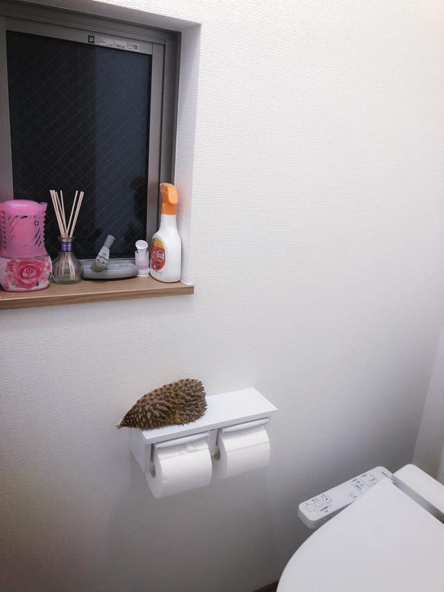 Chính vì cách ''trả thù bá đạo'' vừa đáng yêu lại vừa thâm thúy này của cô nàng mà ngay sau khi đăng tải, bài viết này đã nhận về hơn 13.000 lượt like của cư dân mạng.