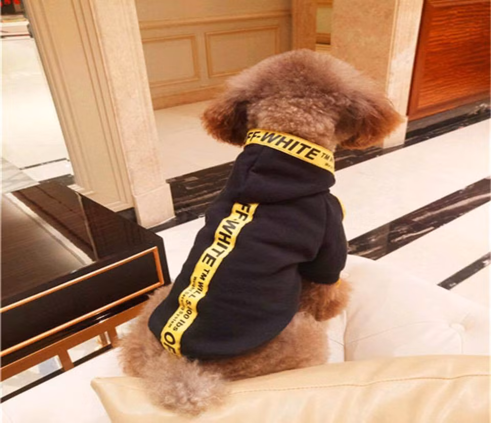 Nhìn hình ảnh này chắc chắn các cô chủ, cậu chủ sẽ phải chạy vội ra cửa hàng để sắm đồ cho chó cưng của mình những bộ cánh lộng lẫy nhất để cuối tuần cho lên phố đi bộ giao lưu với bạn bè.