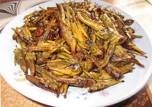 Những ngày đầu Hè đến mùa lúa chín sẽ có châu chấu. Châu chấu là món ăn bổ dưỡng, phù hợp với cánh đàn ông khi ngồi trên bàn nhậu. Nó thường được rang lá chanh, xào sả ớt hay thậm chí là lẩu châu chấu đều rất thơm ngon.