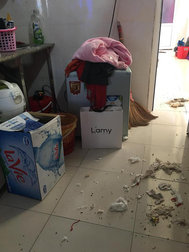 Da o nho mien phi, co gai con “dun lai” nui rac o nha cua ban than-Hinh-2