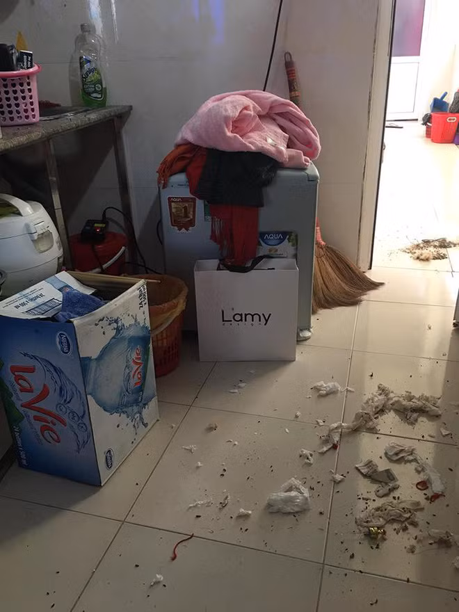 Da o nho mien phi, co gai con “dun lai” nui rac o nha cua ban than-Hinh-2