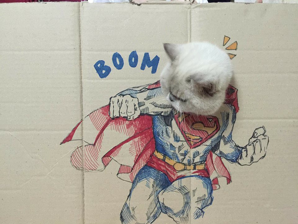 Với các bạn trẻ việc biến thú cưng trở thành trò nghịch như vẽ mặt xấu, cắt lông, đem ra dùng app chụp ảnh quay phim được cho là "bạo hành". Thế nhưng mới đây, một bạn trẻ có tên Huỳnh Ngọc Trang đã đăng lên MXH Facebook những tấm hình đem những con vật đáng yêu của mình ra để giải trí khiến cư dân mạng vô cùng thích thú.