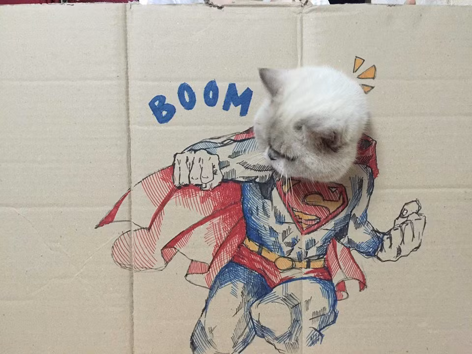 Với các bạn trẻ việc biến thú cưng trở thành trò nghịch như vẽ mặt xấu, cắt lông, đem ra dùng app chụp ảnh quay phim được cho là "bạo hành". Thế nhưng mới đây, một bạn trẻ có tên Huỳnh Ngọc Trang đã đăng lên MXH Facebook những tấm hình đem những con vật đáng yêu của mình ra để giải trí khiến cư dân mạng vô cùng thích thú.