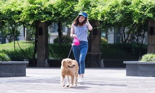 Nu sinh kiem bon tien nho viec dat cho thue di dao