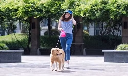 Nu sinh kiem bon tien nho viec dat cho thue di dao