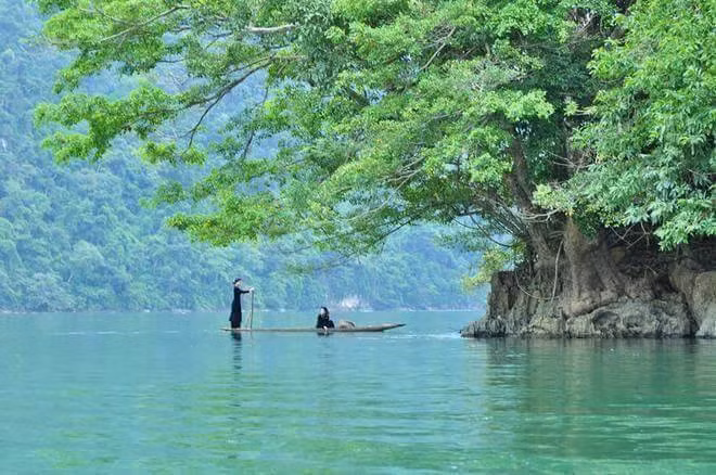 Đến với Hồ Ba Bể, bạn sẽ có dịp dạo quanh hồ nước trong xanh bằng thuyền độc mộc rất đặc trưng của dân tộc bản địa hoặc bằng thuyền máy rồi ra sông Năng và tham quan nhiều thắng cảnh tự nhiên. Ban đêm bạn có thể ngủ lại ở khu nhà gần hồ hoặc ngay tại nhà của những người dân tộc Tày, Nùng. Ảnh: Ivivu