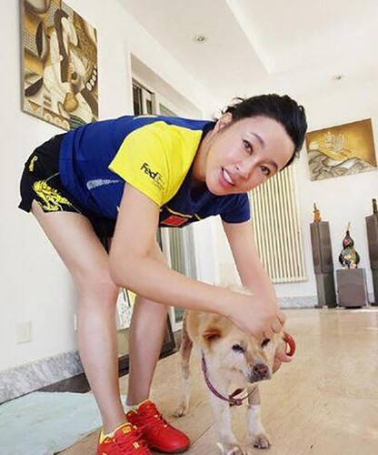 Nhìn qua ngôi biệt thự này mang phong cách sang trọng theo kiến trúc châu Âu. Bao quanh là không gian xanh mát.