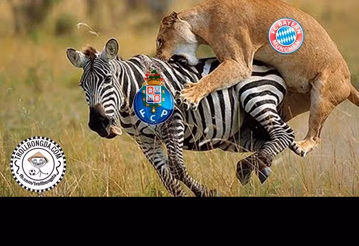 Bayern Munich được ví như chú sư tử dũng mãnh còn Porto chỉ là chú ngựa vằn đáng thương.