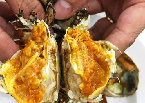 Loại cua bé xíu như cua đồng Việt Nam mà giá 1,6 triệu/cân, trông thế nào? - Hình 2 Loai cua be xiu nhu cua dong Viet Nam ma gia 1,6 trieu/can, trong the nao?-Hinh-2