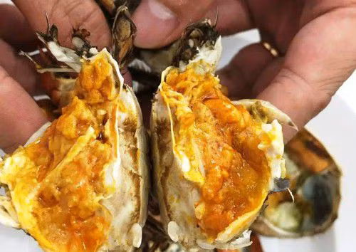 Loai cua be xiu nhu cua dong Viet Nam ma gia 1,6 trieu/can, trong the nao?-Hinh-2