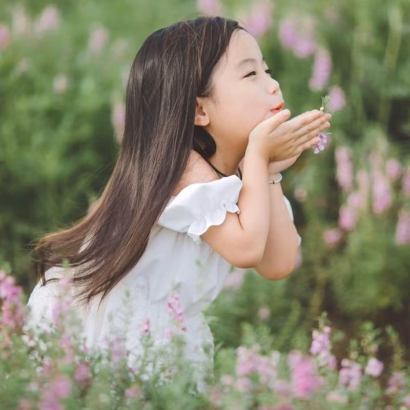 Những hình ảnh về một bé gái 5 tuổi hóa thiên thần trong bộ váy trắng đứng giữa cánh đồng cỏ xanh mát đang được cư dân mạng chia sẻ rất nhiều. Bên cạnh đó, họ còn không ngớt lời khen ngợi sự dễ thương của cô bé này. Ảnh trong bài: Minh Thắng Photography.