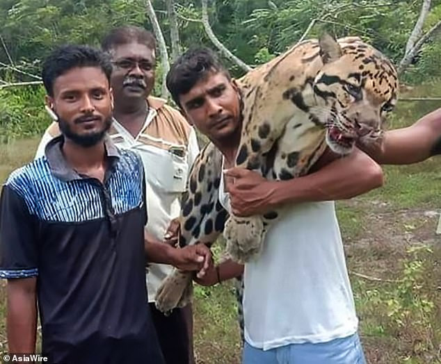 Phan no bao gam cuc quy hiem bi tho san giet hai da man