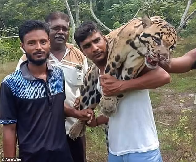 Phan no bao gam cuc quy hiem bi tho san giet hai da man