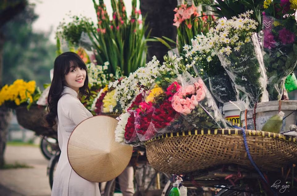 Cúc họa mi là loài hoa có nhụy vàng xanh được bao phủ bởi lớp cánh trắng muốt phía ngoài khiến bất cứ ai nhìn thấy cũng phải nao lòng.