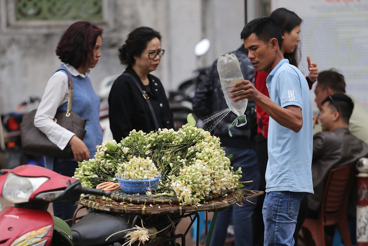 Hoa bưởi không khoe sắc rực rỡ, không kiêu sa đài các, nhưng nhẹ nhàng tinh khiết tựa như người thiếu nữ mộc mạc, trong sáng, mang nét duyên thầm, tỏa ra hương thơm dịu dàng mà say đắm lòng người.