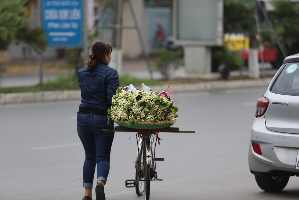 Những cánh hoa bưởi màu trắng muốt uốn quanh đài hoa, phô toàn bộ nhụy vàng, xen lẫn màu lá xanh mướt khiến người Tràng An chẳng thể không động lòng.