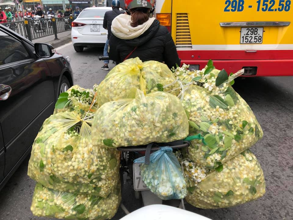 Chia sẻ với PV Kiến Thức, bạn Minh Tú (22 tuổi, Hà Nội) cho biết: "Hương thơm bình dị, nồng nàn của hoa bưởi khiến mình bị cuốn hút. Nó nhẹ nhàng và không gắt. Năm nào cũng vậy, đến mùa mình lại tìm mua hoa để cắm ở nhà cho thơm phòng".