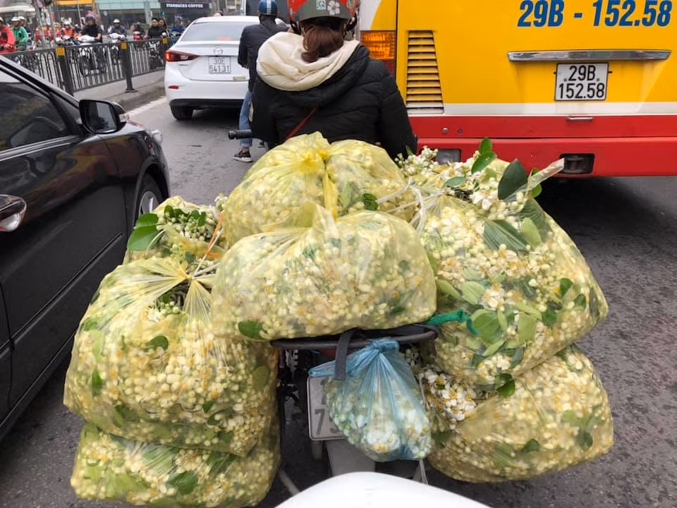 Chia sẻ với PV Kiến Thức, bạn Minh Tú (22 tuổi, Hà Nội) cho biết: "Hương thơm bình dị, nồng nàn của hoa bưởi khiến mình bị cuốn hút. Nó nhẹ nhàng và không gắt. Năm nào cũng vậy, đến mùa mình lại tìm mua hoa để cắm ở nhà cho thơm phòng".