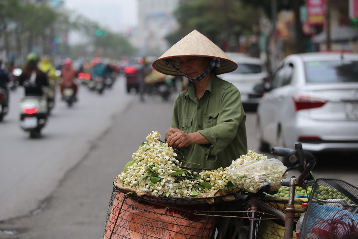 Chiếc xe bán hoa bưởi mang đến sự lãng mạn cho Hà Nội ngay sau những ngày Tết.