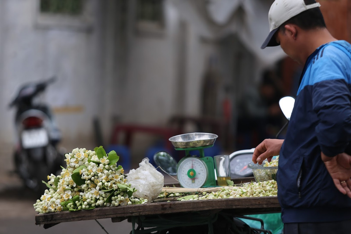 Với những bạn trẻ mê hoa thì khi đi ngang qua những xe hoa bưởi này chắc chắn sẽ không cầm được lòng mà dừng phải dừng lại để mua lấy vài lạng.