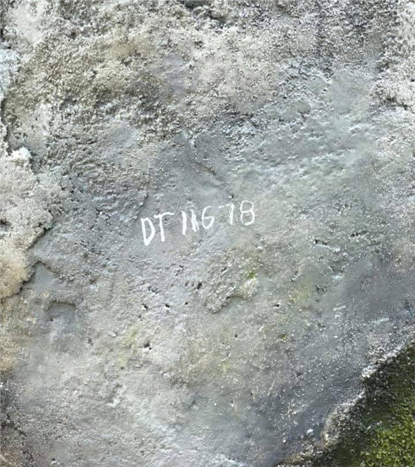 Dòng chữ được người đàn ông thiếu ý thức vẽ bậy tại cầu Vàng Đà Nẵng khiến CĐM bức xúc. Sau khi loạt ảnh được chia sẻ, người đàn ông này bị châm biếm là "soái ca" sơ mi trắng, vẻ ngoài trưởng thành nhưng không nói lên được văn hóa.