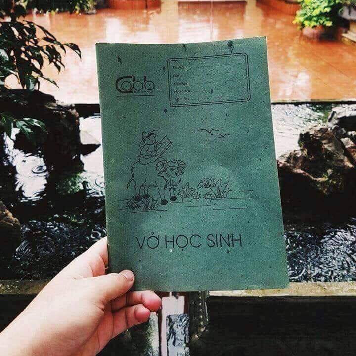 Học sinh tiểu học thường sẽ phải dùng vở có ô-li để căn chỉnh chữ. Nhưng với các anh chị lớp lớn thì quyển vở được sản xuất của công ty giấy Bãi Bằng hay còn có cái tên dân gian là "vở năm hào hai" này đã trở nên quá quen thuộc.