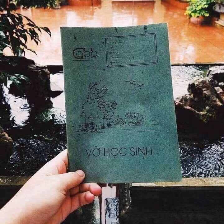 Học sinh tiểu học thường sẽ phải dùng vở có ô-li để căn chỉnh chữ. Nhưng với các anh chị lớp lớn thì quyển vở được sản xuất của công ty giấy Bãi Bằng hay còn có cái tên dân gian là "vở năm hào hai" này đã trở nên quá quen thuộc.