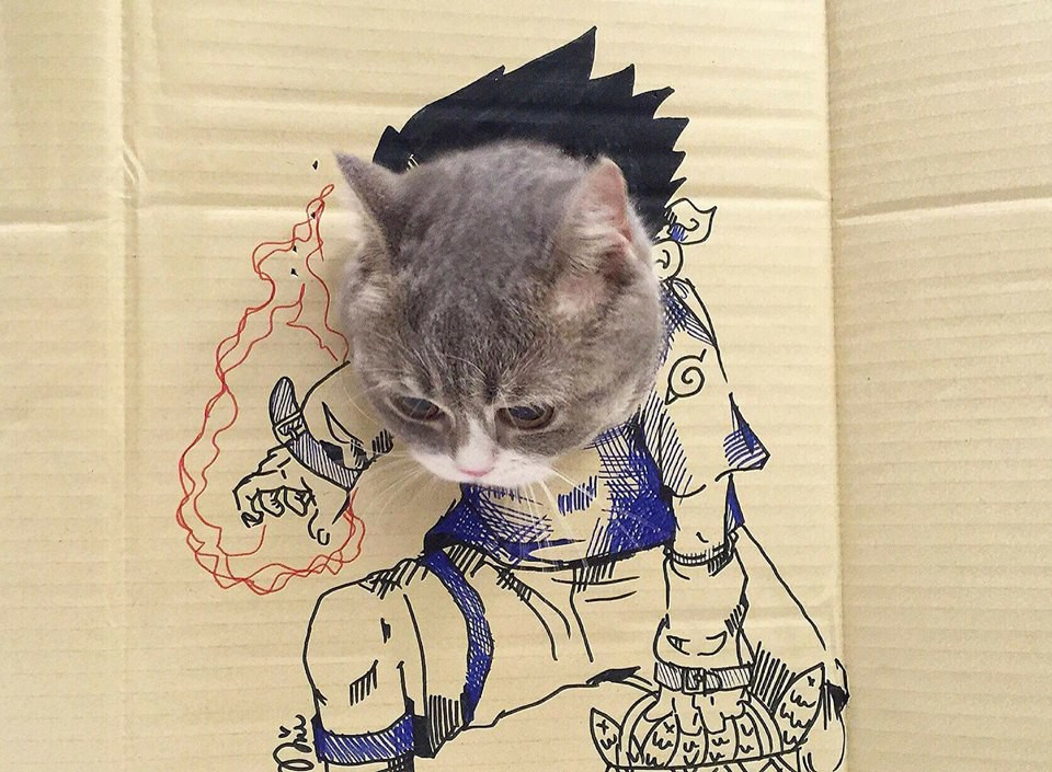 Điều đáng nói những nhân vật truyện tranh và phim hoạt hình được Ngọc Trang mang thú cưng của mình hóa thân vào bao gồm Spiderman, Superman, Inuyasha và các nhân vật trong bộ truyện tranh 7 viên ngọc rồng. Đây là những mẫu hình siêu anh hùng rất gần gũi với các bạn trẻ nhưng đã được chuyển thể hết sức dễ thương.