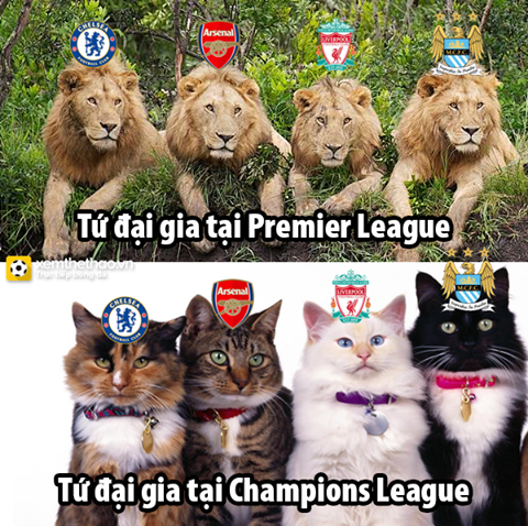  Các đại gia ở Premier League chỉ là "tiểu hổ" ở Champions League.