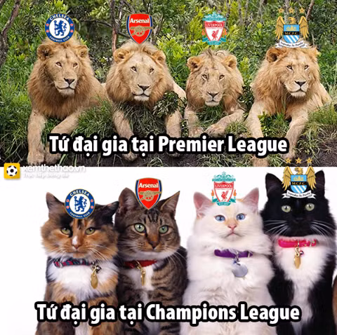  Các đại gia ở Premier League chỉ là "tiểu hổ" ở Champions League.