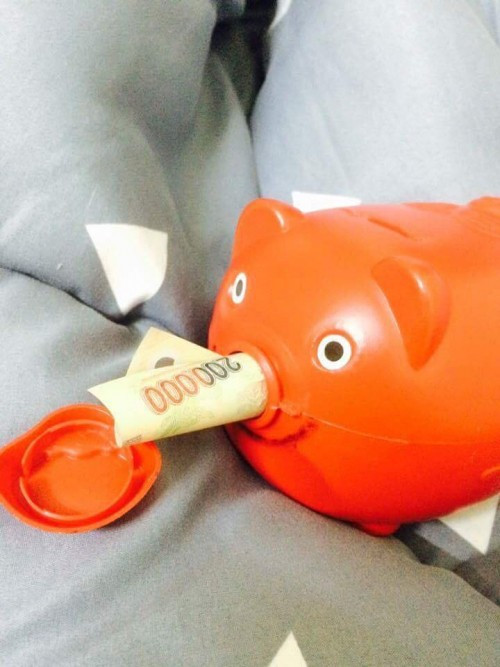 Trong mỗi chúng ta, đặc biệt là những người trẻ ai, chắc hẳn ai cũng đã từng một thời mơ mộng đến tích góp làm giàu từ việc nuôi lợn đất. Nhưng ý chí mỗi người khác nhau và cũng từ đó sinh ra không thiếu những tình huống dở khóc, dở cười từ chuyện này.