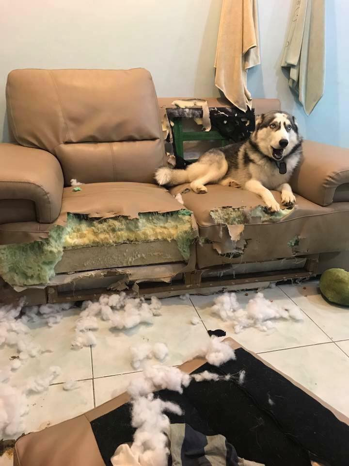 Chiếc ghế sofa phải bỏ đi sau 1 trận thác loạn của các boss.